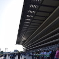 いま”競馬場飲み”がアツイ！初心者の私が「東京競馬場」を満喫してきた