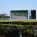 いま”競馬場飲み”がアツイ！初心者の私が「東京競馬場」を満喫してきた