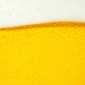 【2021年版】意外に知らない！？「発泡酒」と「ビール」の違いを解説