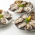 general-oyster