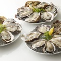 真牡蠣が50%OFF・岩牡蠣は30%OFF！『ゼネラル・オイスター』で【真牡蠣】と【岩牡蠣】を食べ比べよう！