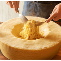 これから火曜日はチーズデー！？「CHEESE SQUARE」で”究極のチーズ料理”を楽しもう！