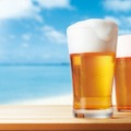 クラフトビール飲み放題×航空鑑賞が楽しめる！「羽田空港沖サマービアクルーズ」販売開始！