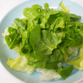 【レシピ】野菜が止まらなくなる！魔法のドレッシング「肉ドレサラダ」