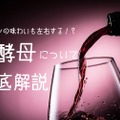 【ソムリエコラム】ワイン造りには欠かせない！ワインの”酵母”について徹底解説