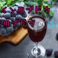 【ソムリエコラム】ワイン用ブドウと食用ブドウの違いとは？それぞれの特徴を徹底比較！