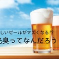 【おいしいビールがマズくなる！？】ビールの日光臭ってなに？簡単にできる対策方法もご紹介