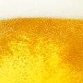 【おいしいビールがマズくなる！？】ビールの日光臭ってなに？簡単にできる対策方法もご紹介