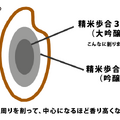 初心者でも簡単にわかる！？高田秋がプロに日本酒の選び方を聞いてきた