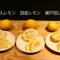 悶絶のレモン食べ比べ！レモンの種類でレモンサワーの味は変わるのか検証してみた