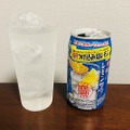 【2019年版】RTD研究家がガチで厳選！今年の夏にオススメの缶チューハイ10選