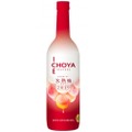 数量限定「CHOYA ICE NOUVEAU 氷熟梅ワイン2019」が全国新発売！