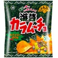 新・ムーチョ第3弾！「海苔カラムーチョ スパイシーのり味」発売