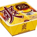 カラメルゼリーで本格再現！「爽　純喫茶風プリン味」発売