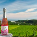 「ウニタ ブリュット ロゼ 2019」「ケルナー 2019」注目のワイン2種が新発売