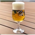 約40種のビールが登場！「ベルギービールウィークエンド2020 豊洲」開催