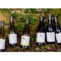 ワイナリー「ドメーヌ・ボー」の初ヴィンテージのワイン6種が全国発売！