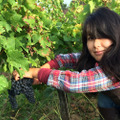 ボルドー初の日本女性醸造家が手がけるオーガニックワイン「シャトー・ジンコ」の魅力を本人に聞いてみた