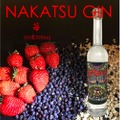 国産果実をボタニカルとして使用したクラフトジン「NAKATSU GIN」販売！