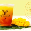 ノンアルコールビールテイスト「緑茶香るマンゴービアフリー」販売！