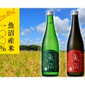 白瀧酒造が「魚沼シリーズ」のリニューアル出荷を開始！2種の純米酒登場