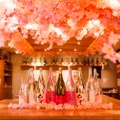 店内でお花見！「日本酒原価酒蔵　店内お花見キャンペーン」が開催