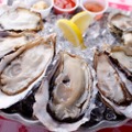 平日限定で牡蠣が安い！ハッピーアワー企画「OYSTER HAPPY HOUR！」開催