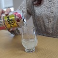 【レビュー】ホントにノンアル！？驚きの飲みごたえなノンアルチューハイ「辛口ゼロハイボール」飲んでみた