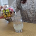 【レビュー】ホントにノンアル！？驚きの飲みごたえなノンアルチューハイ「辛口ゼロハイボール」飲んでみた