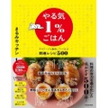 「やる気１%ごはん テキトーでも美味しくつくれる悶絶レシピ500」発売！