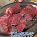 【動画あり】焼肉350円～お酒290円～！コスパ最高酒飲み御用達の焼肉屋「鶴松2号店」に行ってきた