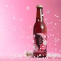 本物の桜を使用した桜餅風味ビール「サンクトガーレン さくら」発売！