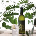 新感覚ボタニカル系麦焼酎「CHILL GREEN spicy&citrus」