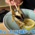 【動画あり】何食べても旨い！知る人ぞ知る穴場居酒屋「中村屋」に行ってきた