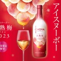 梅のアイスワイン「CHOYA ICE NOUVEAU 氷熟梅ワイン2023」限定新発売！