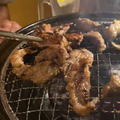 【動画あり】レモンサワー飲み放題が500円！？コスパ最強焼肉酒場「0秒レモンサワー 仙台ホルモン焼肉酒場 ときわ亭 渋谷店」に行ってきた