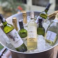 【レポート】スペインのワインがフリーフローで楽しめる「銀座 バル・テラス」が登場！