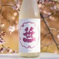 春の霞を想わせる日本酒「笹一 春純米吟醸 うすにごり」が販売！