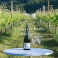 ぶどう畑でワインとフードを楽しむイベント「Vineyards Festa2024」開催！