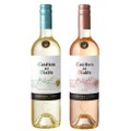家飲みで重宝するお手軽ワイン！「カッシェロ・デル・ディアブロ ビーライト」が発売