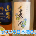【居酒屋レポ動画】激安＆爆盛でコスパ崩壊！お会計安すぎると話題！大山「ゾウとチャッカまん」に行ってきた