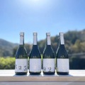 【日本酒好きは見逃すな！！】米の違いを楽しむ新感覚日本酒「YOGANSUの酒」の新酒が発売