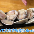 【居酒屋レポ動画】この刺盛りが1500円！？コスパ抜群＆バカ盛り！鐘ヶ淵「魚真」に行ってきた