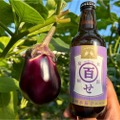 【嘘だろ...“水ナス”を使ったビールってなに！？】「泉州水茄子エール」が300本限定で販売中