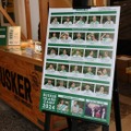 【人気No.1ウイスキーに缶ハイボールが登場！】「THE BUSKER」のイベントで25種のカクテル＆新作ハイボールを楽しんできた