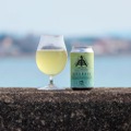 【日本酒×セルツァー×IPAの衝撃商品！？】「SAKEKASU Hard Seltzer 作」が東海イオンで発売