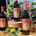 【ビール好きこそ飲むべき！ホップを使った新感覚焼酎！】本日発売！ボタニカル系麦焼酎「CHILL GREEN bitter & tropical」新発売