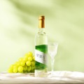 【絶対旨いじゃん！シャインマスカットのデザートワイン】「輝翠 -SHINE MUSCAT-」抽選販売