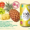 【果汁100%の贅沢チューハイが美味しそう】贅沢果汁を楽しめる！「100％カジューハイ 爽やかパインミックスチューハイ」発売