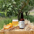 【未来を考えたサステナブルなビール！】「TOWN CRAFT -まちの未来を考えるビール- / YUKOH SAISON」販売